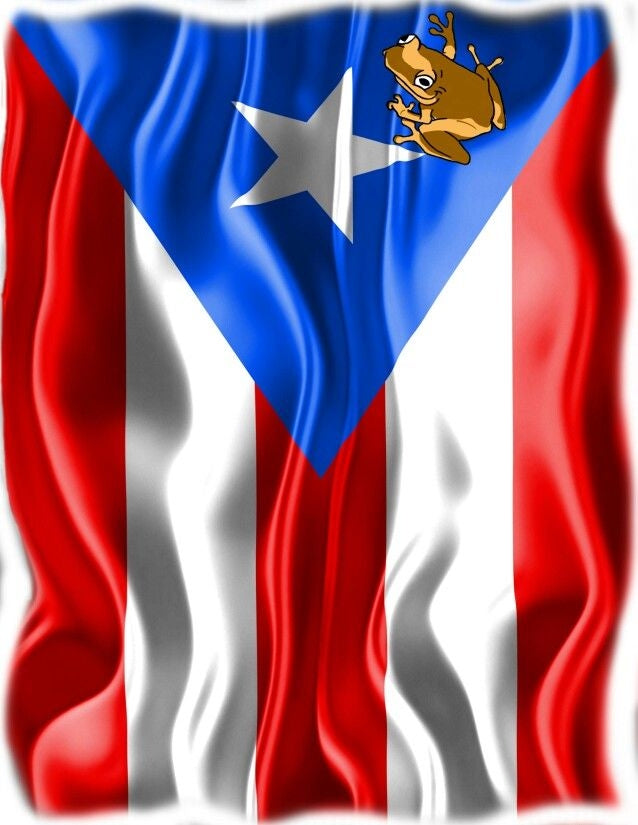 Dtf custom tshirts Puerto Rico designs FA'APA GRAPHICS