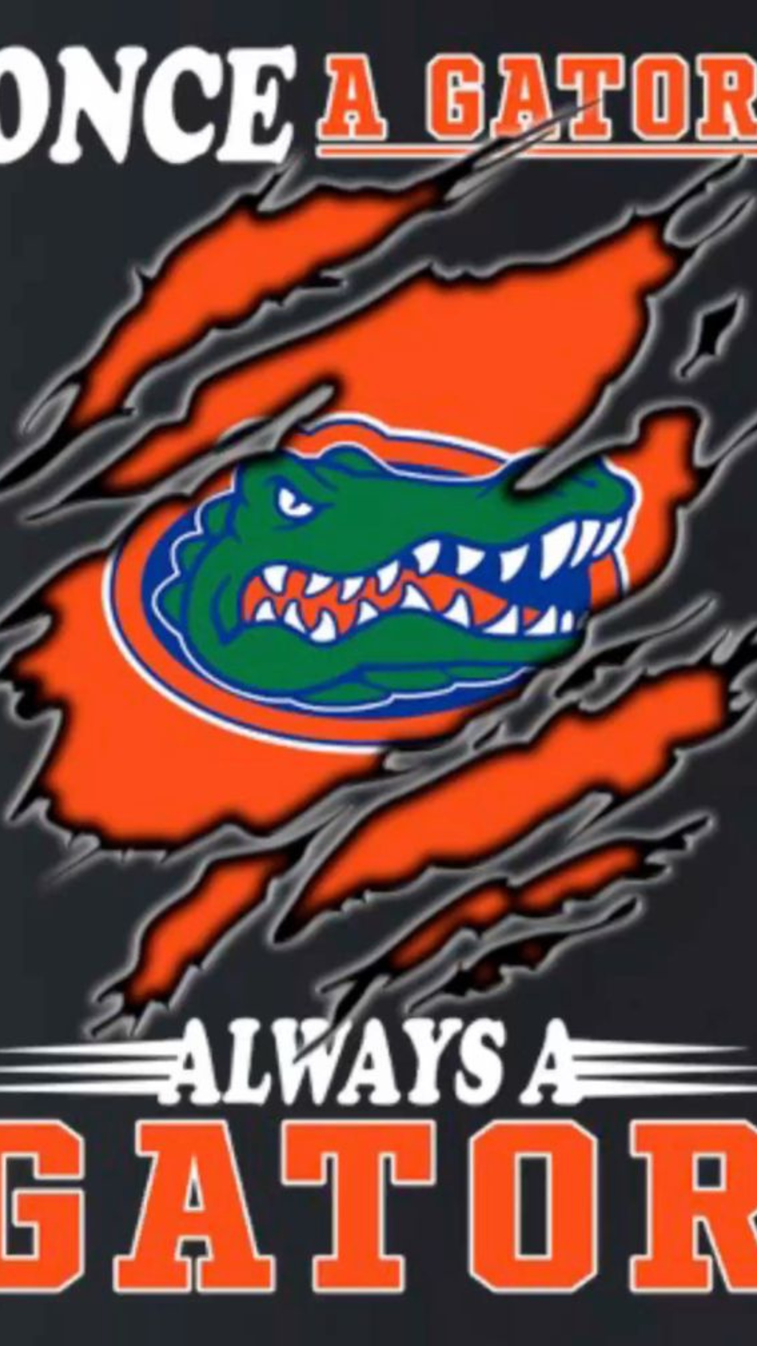 Custom graphics fl gators t shirts, hoodies, hoodies, 22.95 to 39.95 My Store